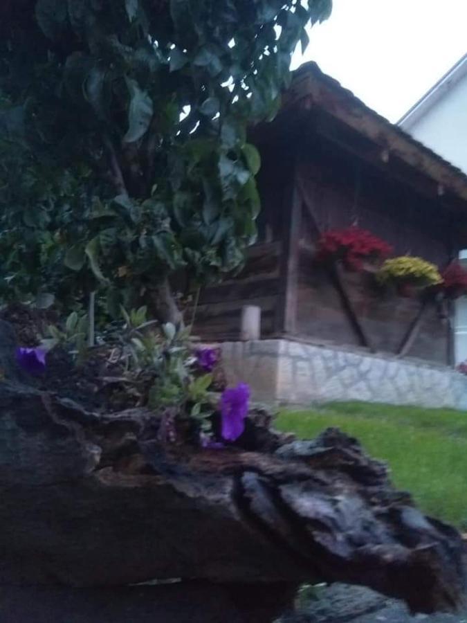 Djurdja Apartment Arandjelovac Esterno foto
