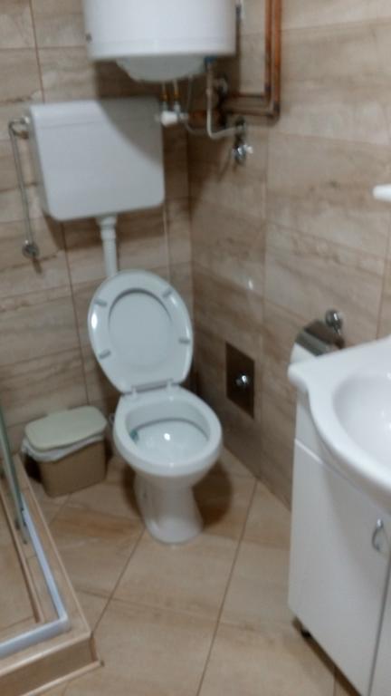 Djurdja Apartment Arandjelovac Esterno foto